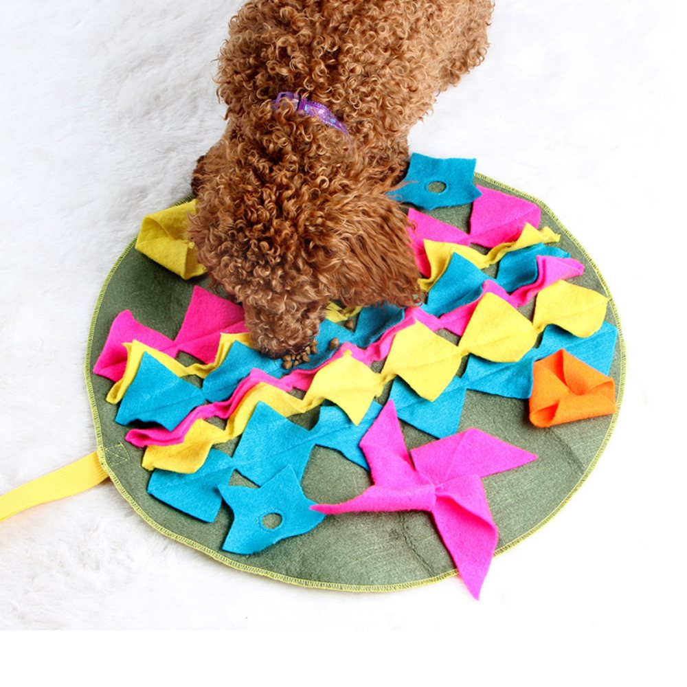 A small dog sniffing out treats on a round snuffle mat